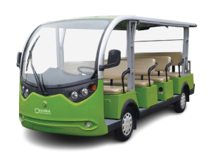 Electric Cart